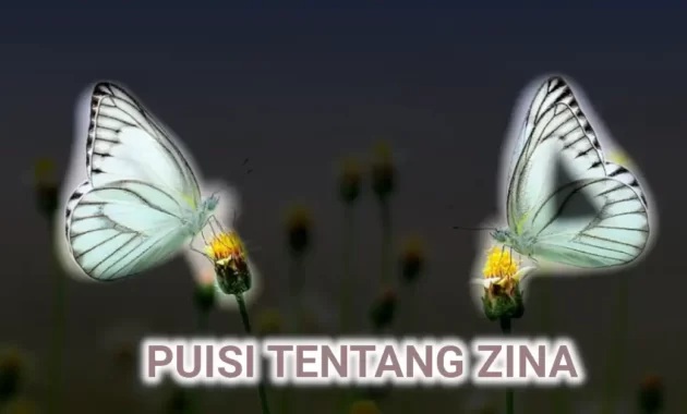 puisi tentang zina